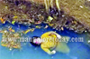 Married woman found dead in well; relatives suspect hubby